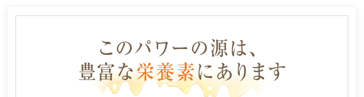 このパワーの源は、豊富な栄養素にあります